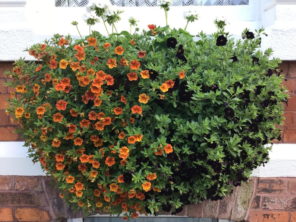 鲍登小屋酒店 绍斯波特 外观 照片